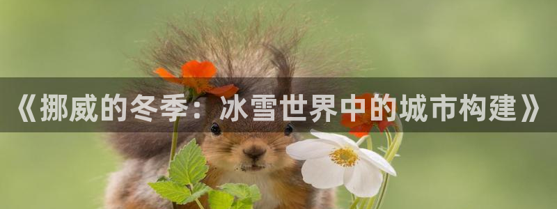 富联娱乐招商右判官333OO：《挪威的冬季：冰雪世界中的城市构建》