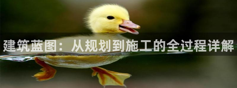 富联2娱乐资讯官网首页：建筑蓝图：从规划到施工的全过程详解