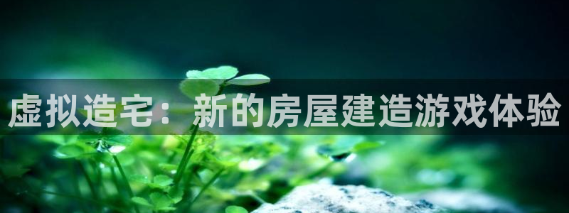 富联2娱乐首页：虚拟造宅：新的房屋建造游戏体验