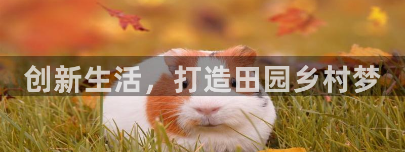 富联娱乐首页在哪看：创新生活，打造田园乡村梦