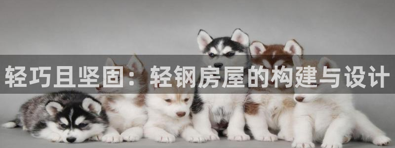 富联娱乐几67OO6：轻巧且坚固：轻钢房屋的构建与设计