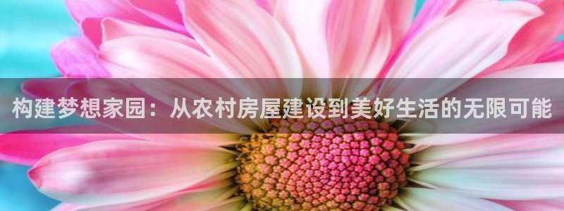 富联娱乐注册定唐老鸭779O3：构建梦想家园：从农村房屋建设到美好生活的无限可能