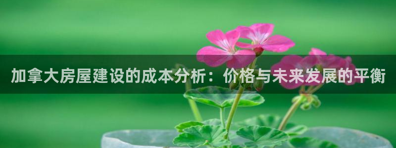 富联娱乐更究7276O：加拿大房屋建设的成本分析：价格与未来发展的平衡