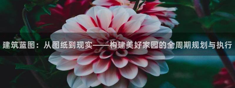 富联娱乐贴吧：建筑蓝图：从图纸到现实——构建美好家园的全周期规划与执行