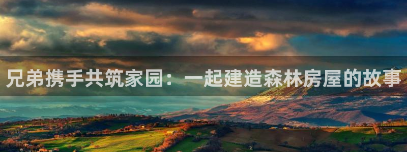 莱西联富娱乐会所电话：兄弟携手共筑家园：一起建造森林房屋的故事