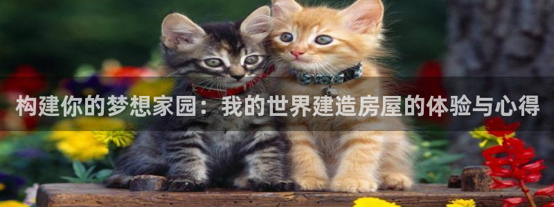 富联娱乐口六七五一38：构建你的梦想家园：我的世界建造房屋的体验与心得