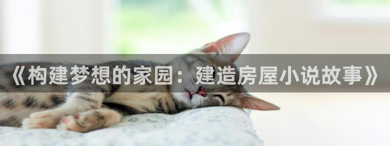 富联娱乐平台登录地址在哪里看：《构建梦想的家园：建造房屋小说故事》