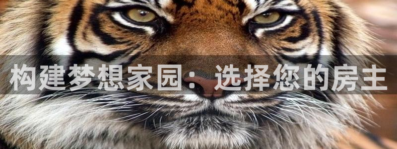 富联娱乐招商前原判官333OO：构建梦想家园：选择您的房主