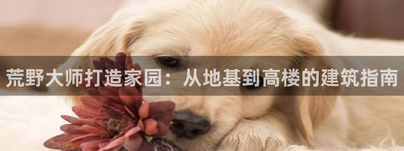 富联娱乐是什么公司：荒野大师打造家园：从地基到高楼的建筑指南