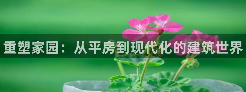 富联娱乐主管是谁判官333OO：重塑家园：从平房到现代化的建筑世界