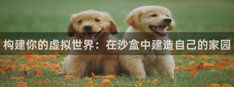 富联娱乐测速地址查询：构建你的虚拟世界：在沙盒中建造自己的家园