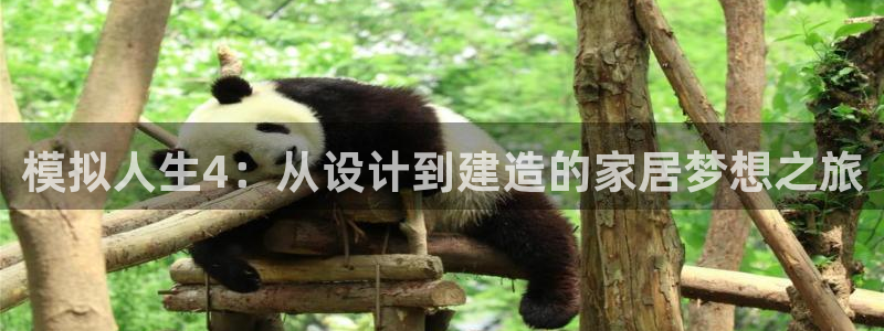 富联娱乐首页在哪看：模拟人生4：从设计到建造的家居梦想之旅