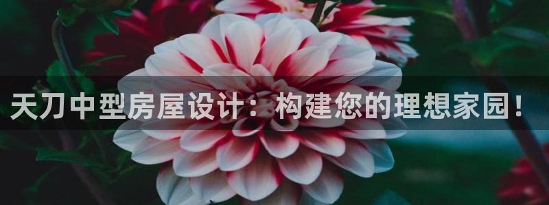 富联娱乐平台注册条件：天刀中型房屋设计：构建您的理想家园！